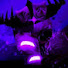 28czGlof7M0-channel-avatar-Wise Mark