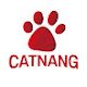 캣냥 CATNANG