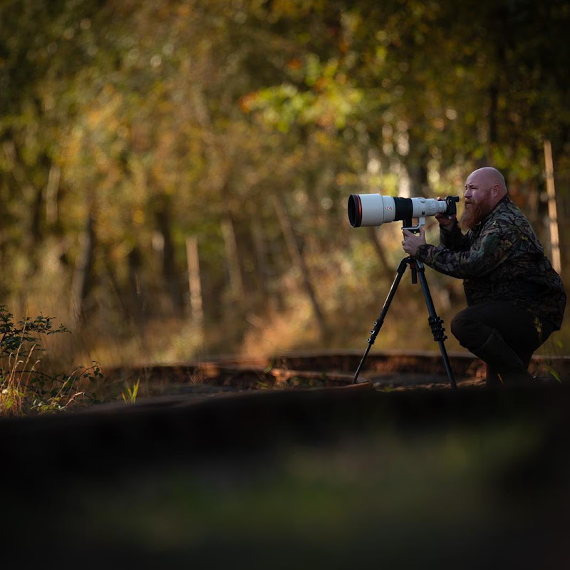 Mike Phelps Wildlife Photography Logo