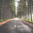 a5vMoGMFtmg-channel-avatar-LearnerofLanguages