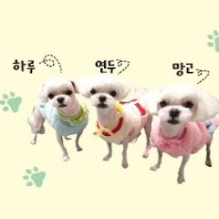 유튜버썸네일