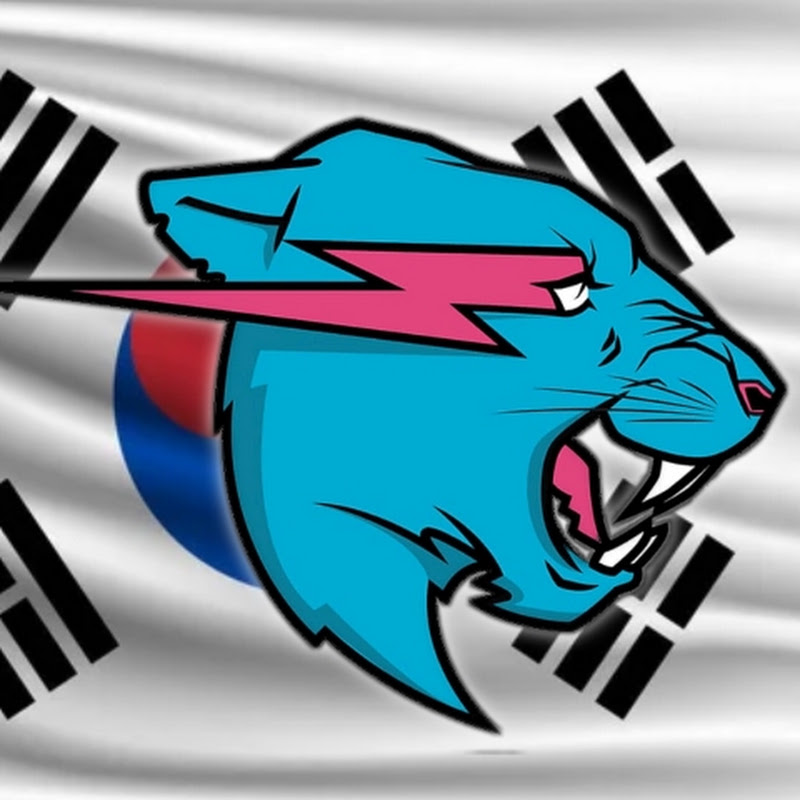 미스터비스트 한국인