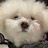 @다람이디디디