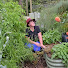 UTzMSwG908U-channel-avatar-The Learning Gardener