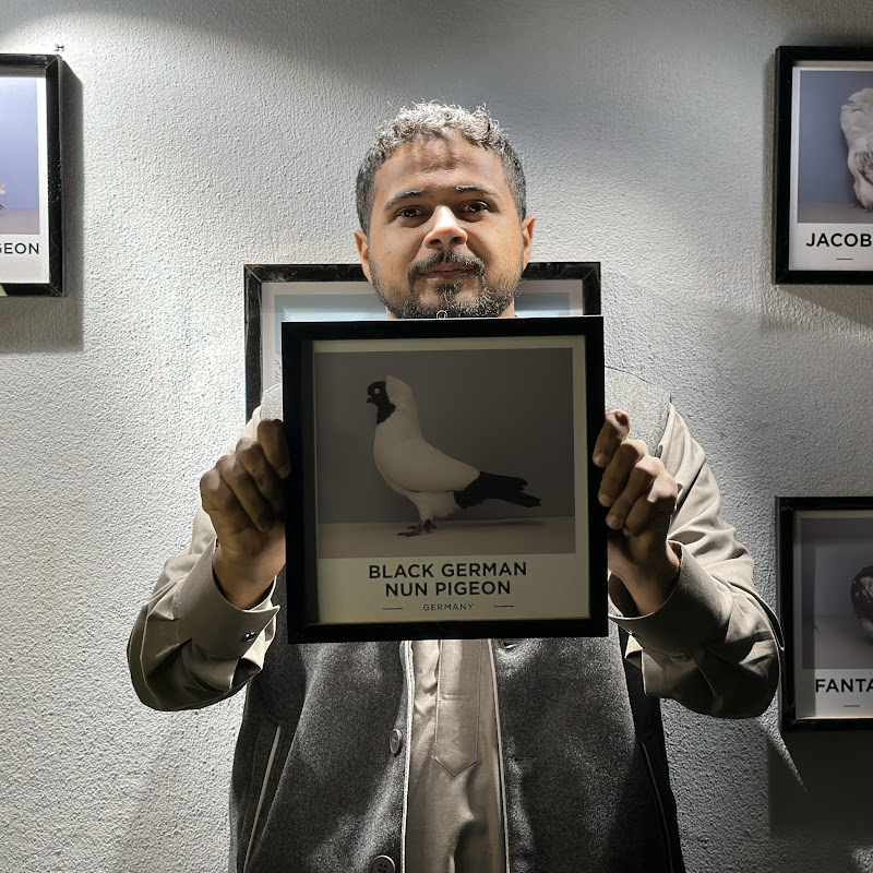 عالم الطِيور | PIGEON 
