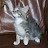 @richardfabacher3705 Avatar