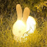JJI26voVj78-channel-avatar-Bunnies today