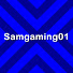 h97R0kaWd0k-channel-avatar-Samgaming01