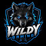 LxoVtjajOac-channel-avatar-WildyGaming