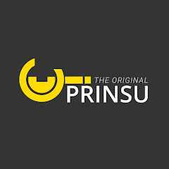 Prinsu Design Studio net worth