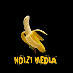 NDIZI MEDIA channel logo