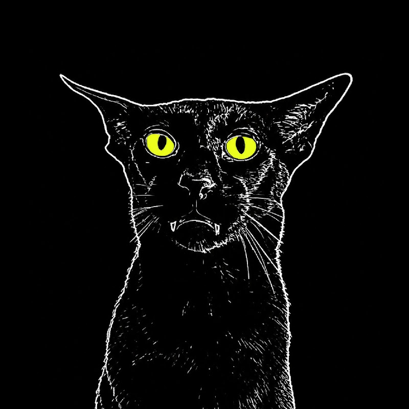 hobbikats icon