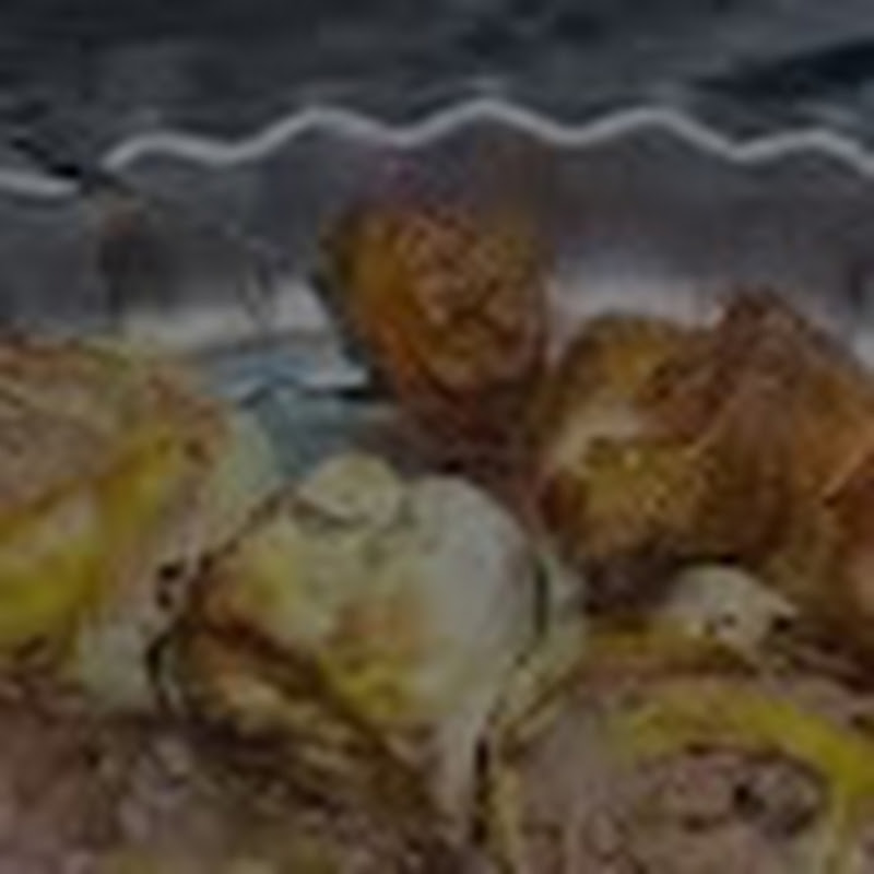 Hire لحم الخروف هو سر الحیات🤤🤤 — Gourmet & Fine Dining At Home YouTube creator for sponsorships