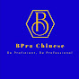BPro Chinese logo