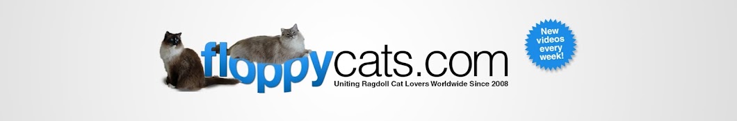 Floppycats YouTube kanalı avatarı