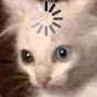 CATS LOADING Avatar