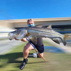 swfl_henry