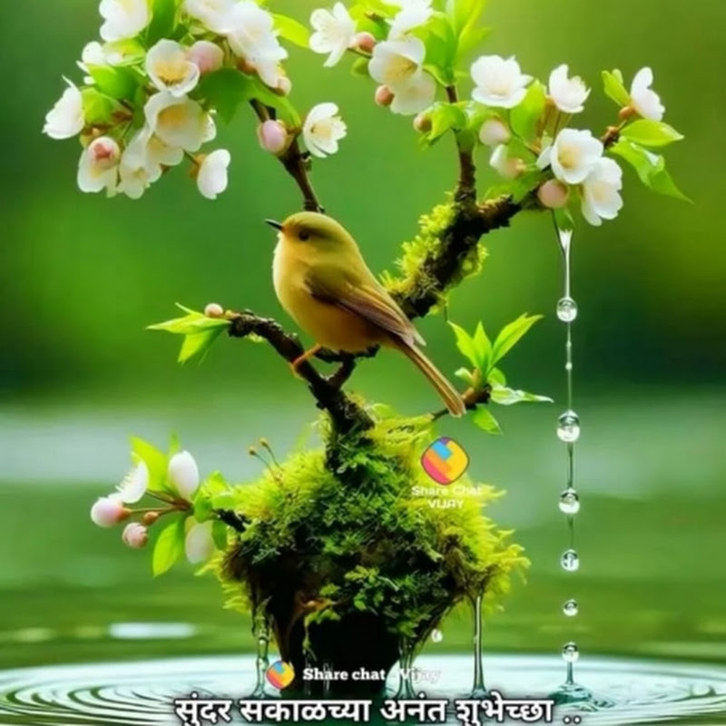 आम्ही मुंबईकर