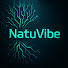 CUgflk5vTL4-channel-avatar-NatuVibe