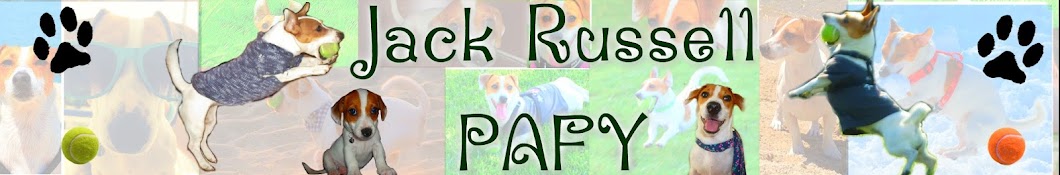 Jack Russell Pafy YouTube channel avatar