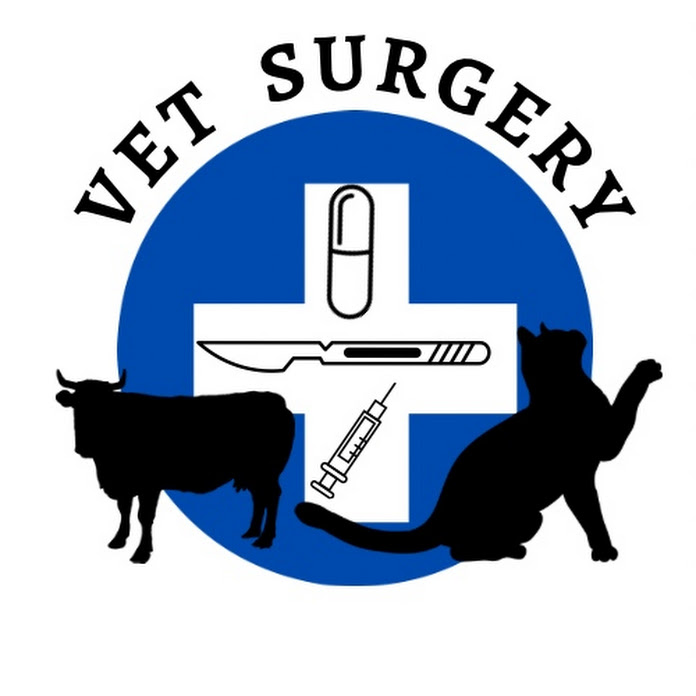 Vet Surgery Net Worth & Earnings (2024)