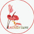 WGQSpp_sQZM-channel-avatar-Deepa Anthurium