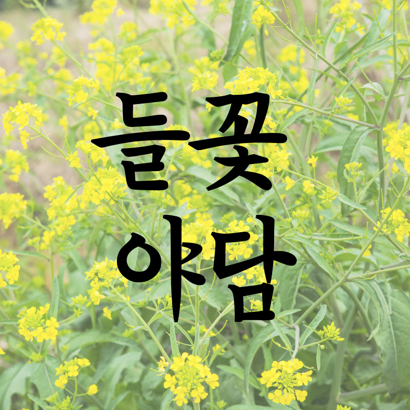 들꽃야담