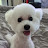 @달려라솜이-i7i