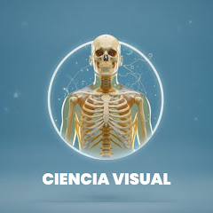 Ciencia Visual