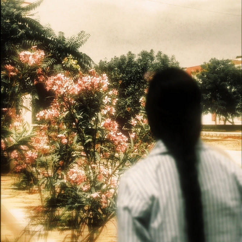 ⟆𝕽𝖚𝖈𝖍𝖎𝖐𝖆🕊️𝕾𝖆𝖎𝖓𝖎⟅
