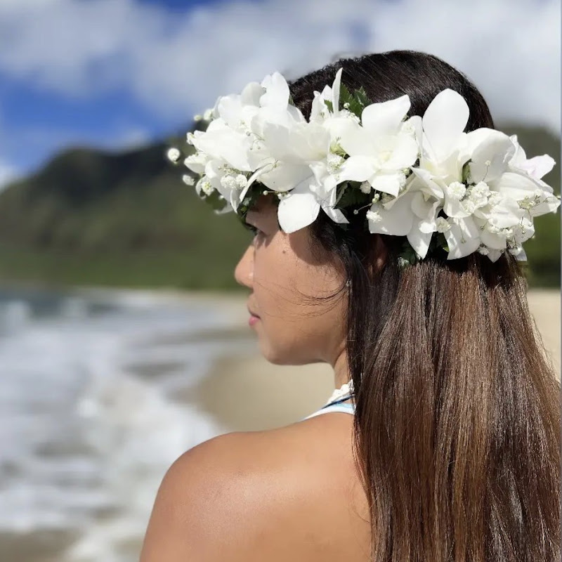 LaineyHula Adventures channel avatar