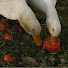 SP6BPbERPKY-channel-avatar-Wild East