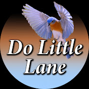 Do Little Lane