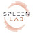 Spleenlab – Safe Machine Learning Solutions
