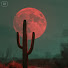 J_12gHN3CJY-channel-avatar-Haunted Ember