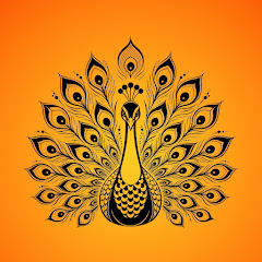 Healing Raga Studio