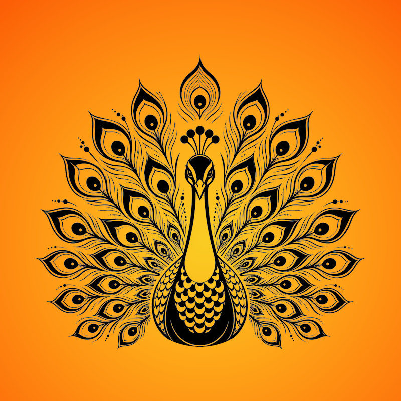 Healing Raga Studio