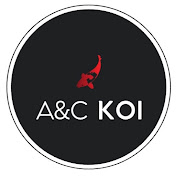 A&C Koi