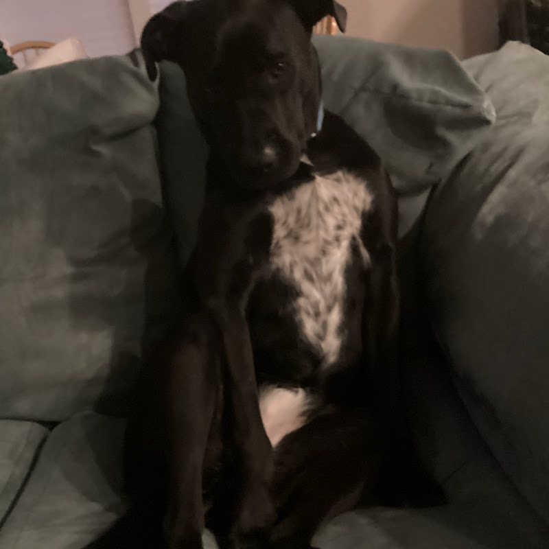 Hire Devyful — Student Life & University Vlogs YouTube creator for sponsorships