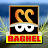S.S.Baghel