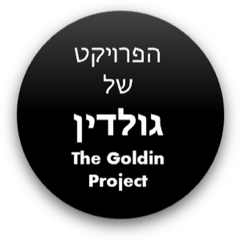 הפרויקט של גולדין - The Goldin Project