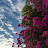 @TasnemAhmed-zk4pq