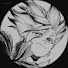 tSZXmT_YBoU-channel-avatar-OlympusJB