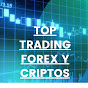 TOP TRADING FOREX logo