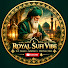 bfs3hG0SHhA-channel-avatar-Royal Sufi Vibe