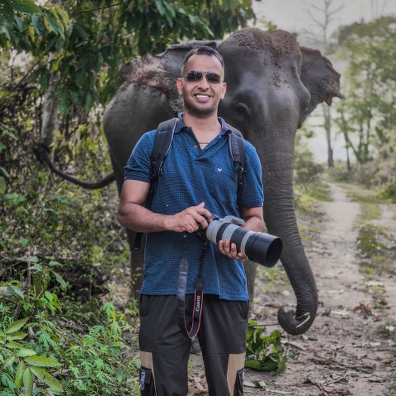 Globe Trotting Melodies