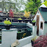 rlzsAvITDVk-channel-avatar-Pauls Koi pond