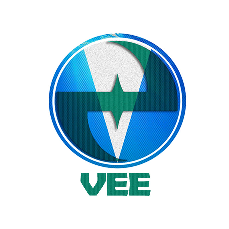 Vid Evolution Entertainment