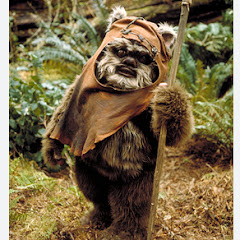 ewok_gamer