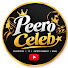 JqGu8pqxn-M-channel-avatar-Peero Celeb